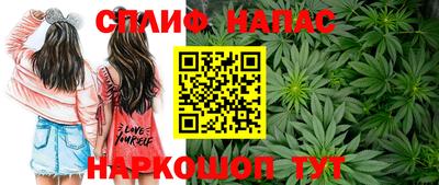 ALPHA PVP Новозыбков