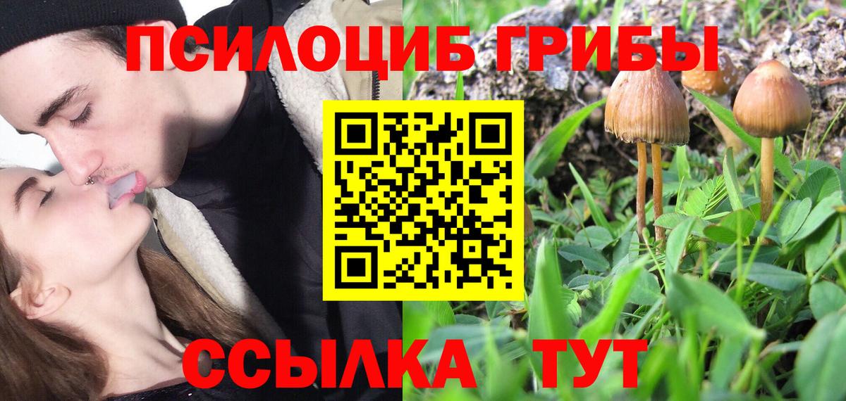 Галлюциногенные грибы прущие грибы Сорочинск
