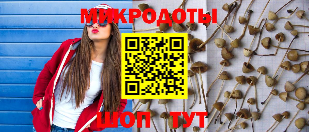 Псилоцибиновые грибы Psilocybine cubensis  Псилоцибиновые грибы Psilocybine cubensis  Сорочинск  Вход с VPN 